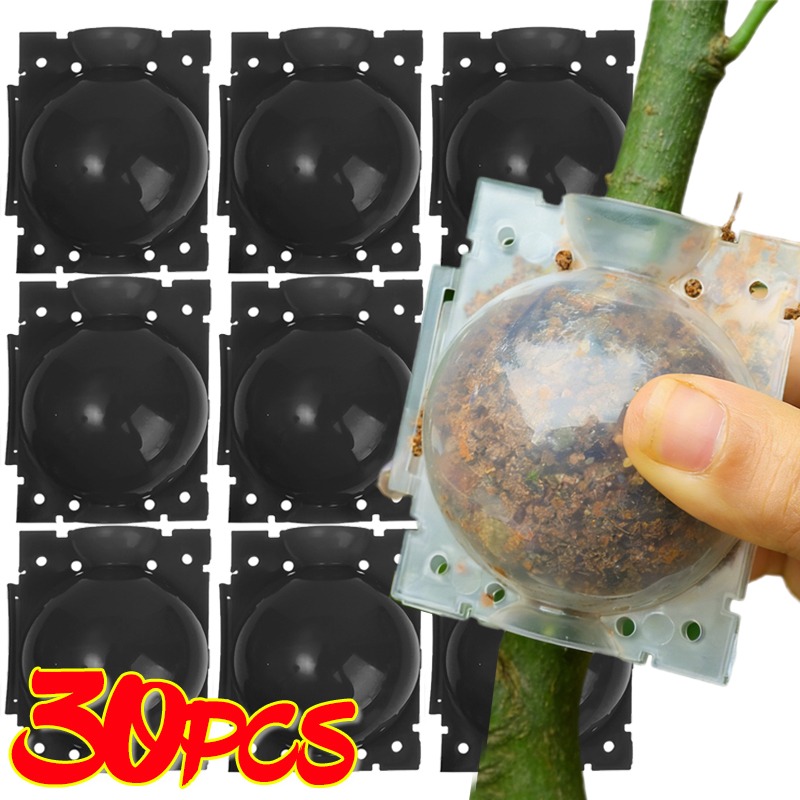Plant Parents - Bola de Enraizamento Reutilizável para Plantas,