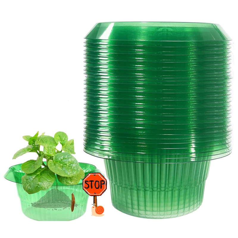 Plant Parents - 5-25 pçs plantas slug proteção anéis