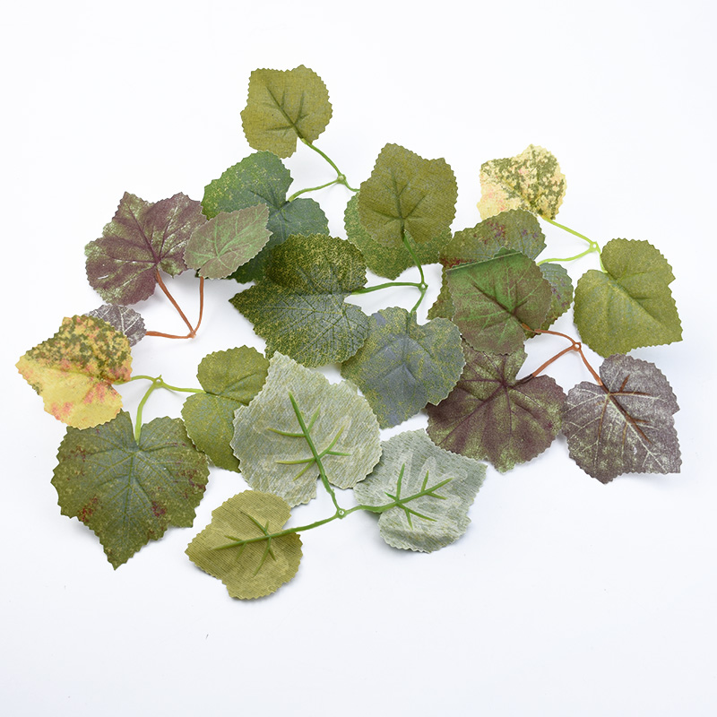 Plant Parent Gifts - 10 pçs folha de bordo de