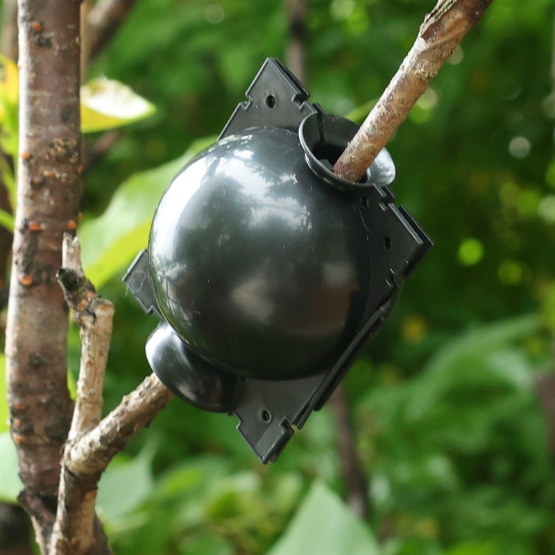Bola de Enraizamento Reutilizá - Plant Parents avaliação e preço