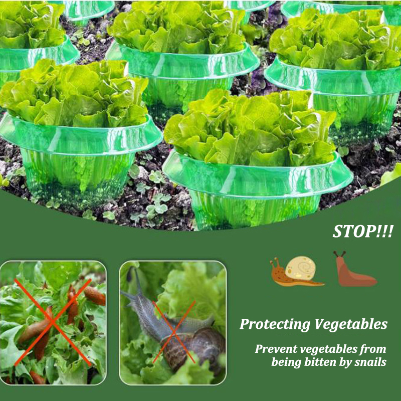 5-25 pçs plantas slug proteção - Plant Parents avaliação e preço