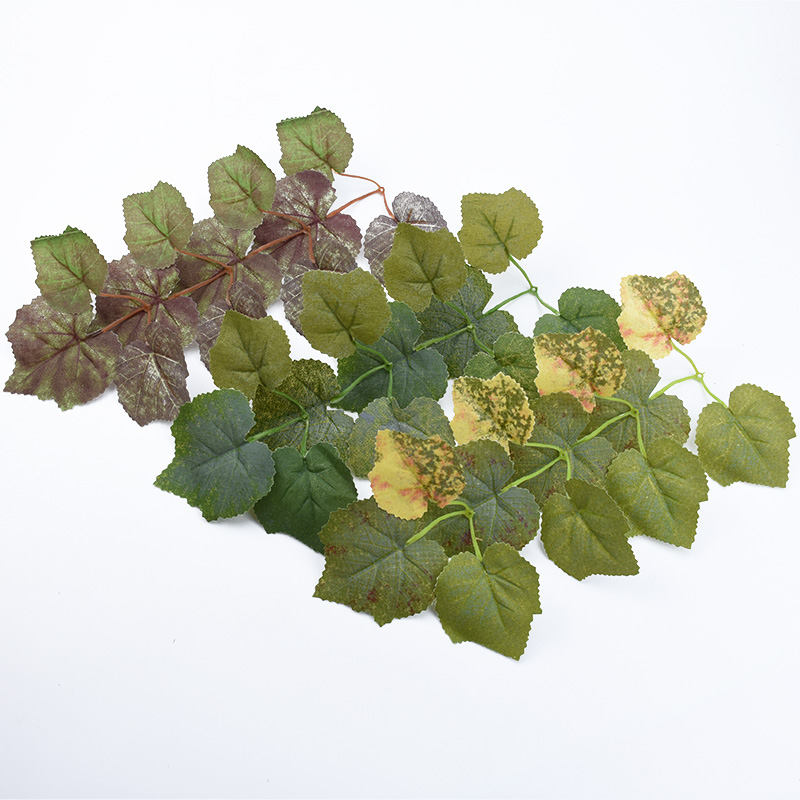10 pçs folha de bordo de seda  - Plant Parent Gifts avaliação e preço
