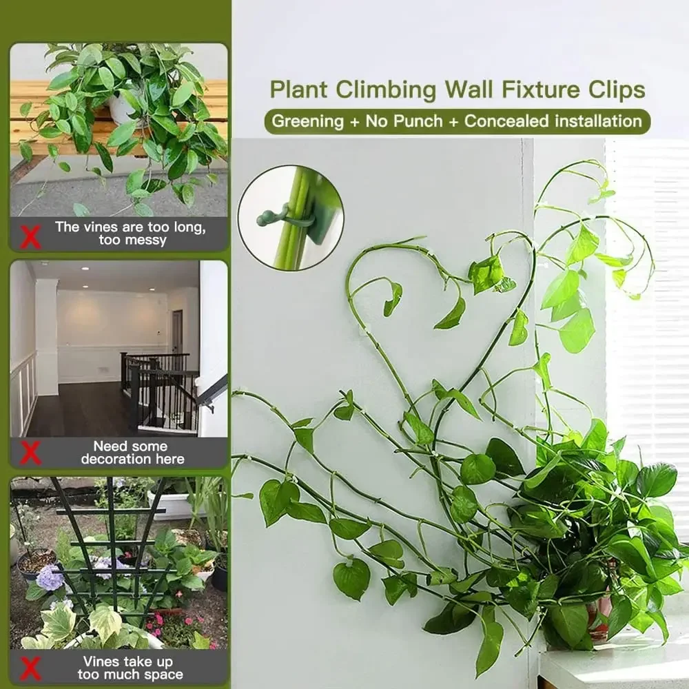 1/30/50 pçs para acessórios de - Plant Parents avaliação e preço